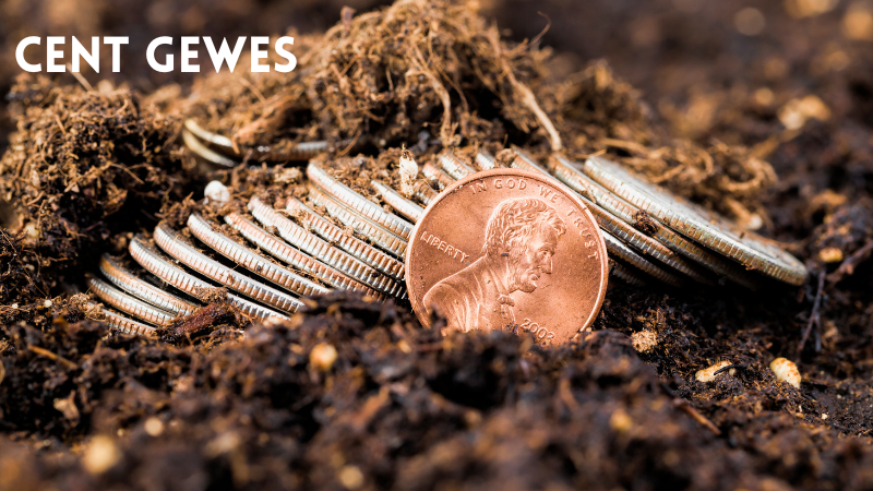 Cent Gewes: Decoding the Enigmatic Term cent gewes